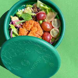 SaladStop Collapsible Bowl with salad inside