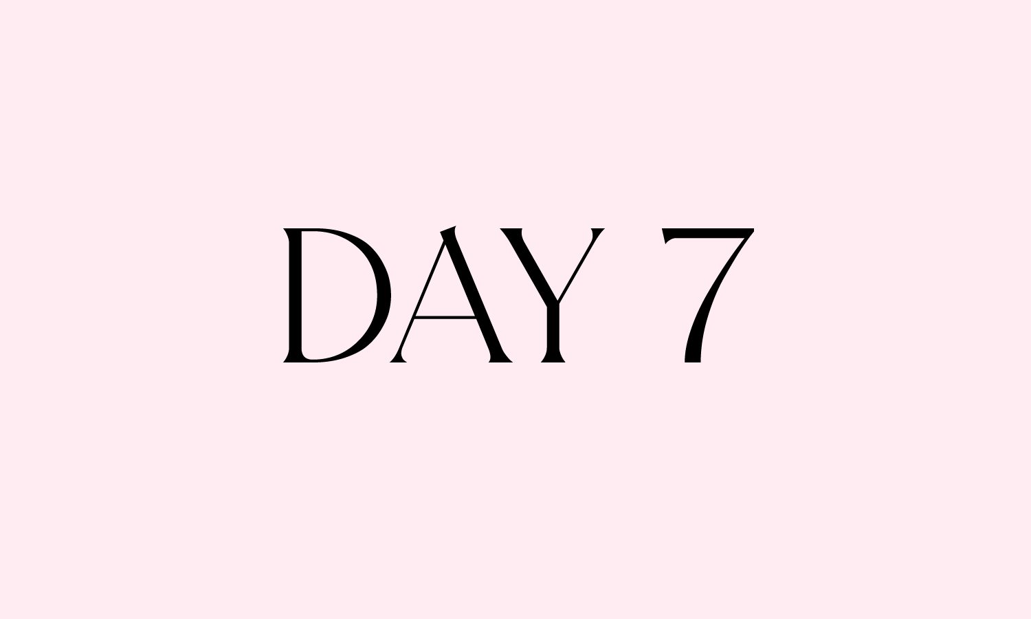 Day 7